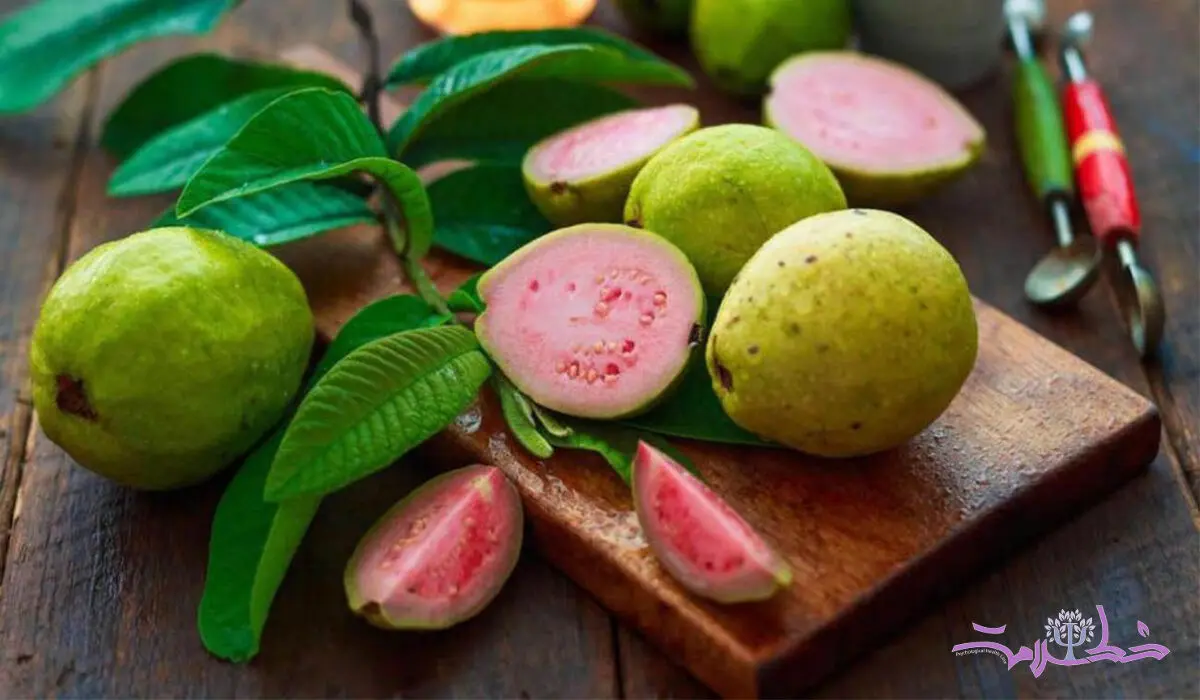 8 خاصیت شگفت انگیز میوه گواوا 
