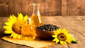 روش مادربزرگ  ها برای درخشان کردن  پوست با تخمه آفتابگردان+ طرز تهیه تونر آفتاب گردان