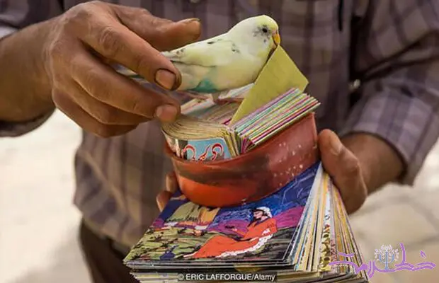 فال برای همه است، پس چرا فکر می کنیم فقط برای ماست؟
