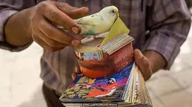 فال برای همه است، پس چرا فکر می کنیم فقط برای ماست؟