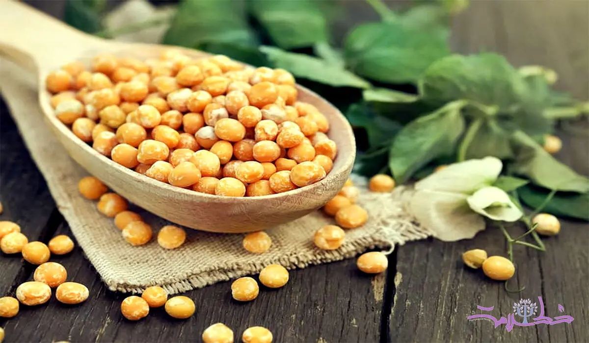 تأثیر شگفت‌انگیز نخود زرد بر سلامت مغز و اعصاب + چه کسانی نباید نخود زرد مصرف کنند؟