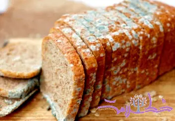 آیا می‌توان قسمت کپک‌ زده نان را برید و بقیه اش را خورد؟