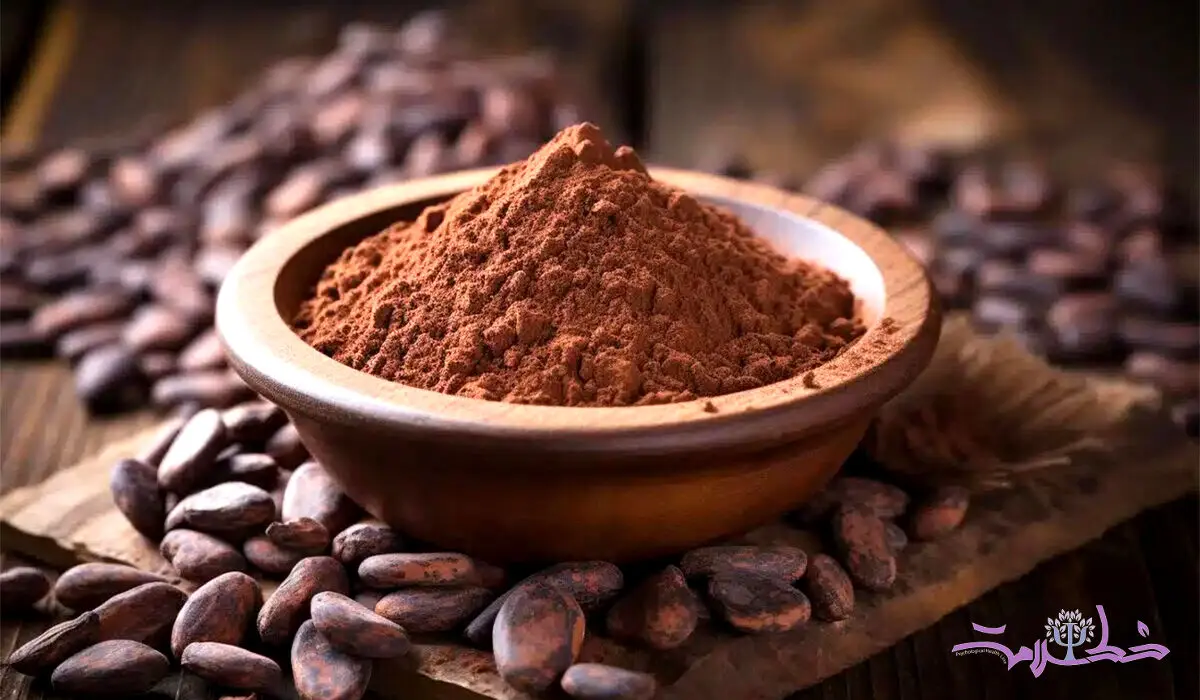 این ماده غذایی با سالمندان رفاقت دارد/ آخرین یافته علمی