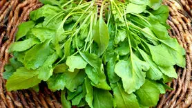 به این 10 علت بی نظیر سبزی شاهی بخورید