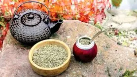 چای گیاهی محبوب ستاره های فوتبالیست / بیخود نیست عضلانی و خوش فرم هستند