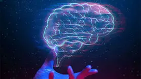  حافظه بلند چگونه کاهش پیدا می کند؟