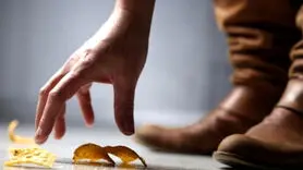 آیا خوردن غذایی که روی زمین افتاده بی‌خطر است؟ 