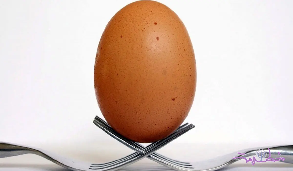 تحقیقات جدید به شایعه ای مهم در مورد تخم مرغ پایان داد