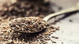 این ادویه سبز خوش عطر را در کشوی کابینت جا نگذارید!