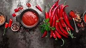 فیلم/تاثیر غذاهای تند بر مغز و بدن 