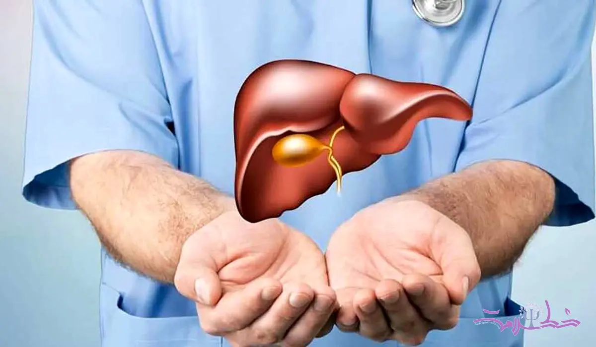 پاتوفیزیولوژی سیروز کبدی/ چهار مرحله از آسیب مزمن تا نارسایی کبد