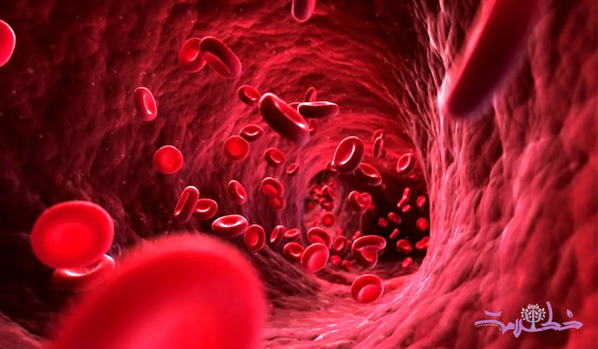 چگونه گلبول قرمز خون را افزایش دهید ؟