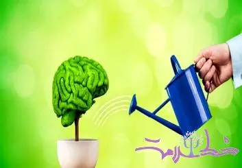 این روغن را به سرتان بمالید حافظه تان تقویت می شود