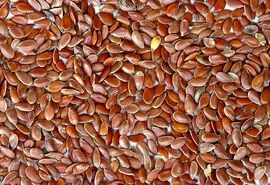 مهم ترین خواص بزرک سیاه در طب سنتی