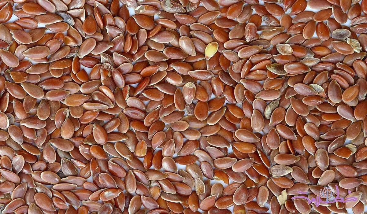 مهم ترین خواص بزرک سیاه در طب سنتی