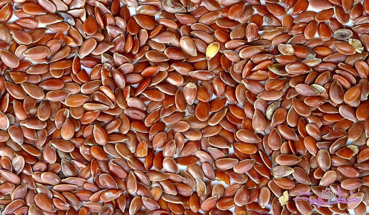 مهم ترین خواص بزرک سیاه در طب سنتی
