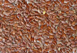 مهم ترین خواص بزرک سیاه در طب سنتی