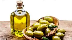 در طب سنتی زیتون چه طبعی دارد؟