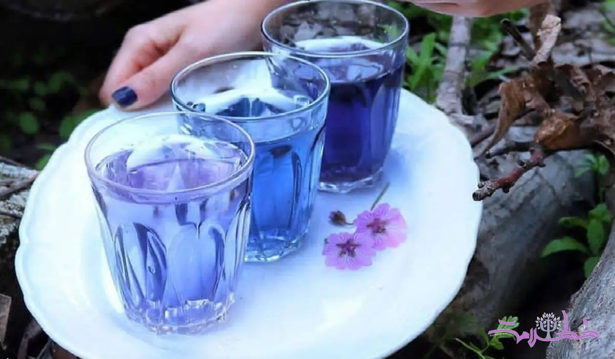 طرز تهیه یک شربت جادویی برای تابستان