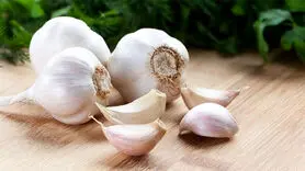 بعد از خواندن  این مطلب هر اندازه دل تان خواست سیر بخورید!