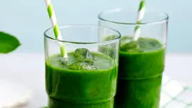 طرز تهیه خواهر خوانده موهیتو برای لاغری 