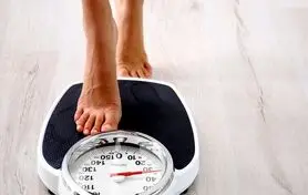 6 پودر گیاهی در طب آیورودا  برای کاهش وزن و هضم غذا