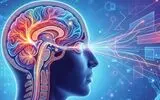 وقتی چیزی که می بینیم با هم جور درنمی آید؛ مغز چگونه واقعیت را یکپارچه می کند؟