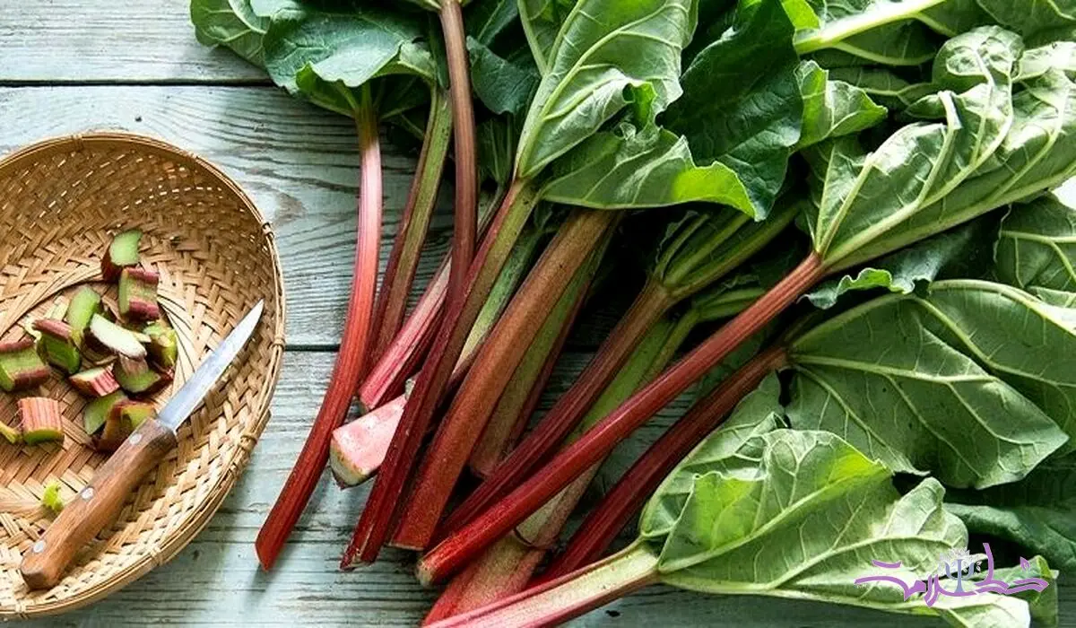 ریواس گنجینه‌ای از خواص شگفت‌انگیز + طرز تهیه خورشت، دسر و شربت خوش‌طعم