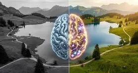 چشم می‌بیند، مغز تصمیم می‌گیرد؛ واقعیت چقدر واقعی است؟