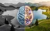 چشم می‌بیند، مغز تصمیم می‌گیرد؛ واقعیت چقدر واقعی است؟