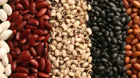این ماده غذایی نمی گذارد پیر شوید / 6 فایده بی نظیر