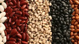 این ماده غذایی نمی گذارد پیر شوید / 6 فایده بی نظیر
