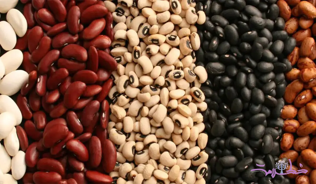 این ماده غذایی نمی گذارد پیر شوید / 6 فایده بی نظیر