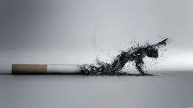 متخصصان تایم اعتیاد به سیگار را اعلام کردند/ باورتان نمی شود 