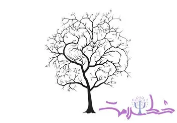 تست شخصیت تصویری: آیا می‌توانید ۵ پرنده پنهان در درخت را پیدا کنید؟
