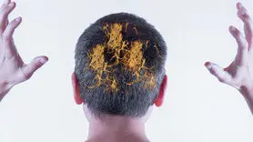 مشکلات خوابیدن با موی خیس روی موها و پوست سر 