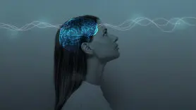 فیلم/ 8 هفته ای مغزتان را بازسازی کنید +آخرین یافته علمی 
