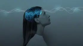 فیلم/ 8 هفته ای مغزتان را بازسازی کنید +آخرین یافته علمی 