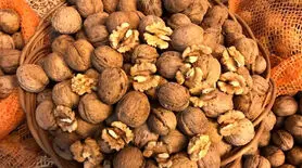 این خوردنی خوشمزه باهوش تان می کند