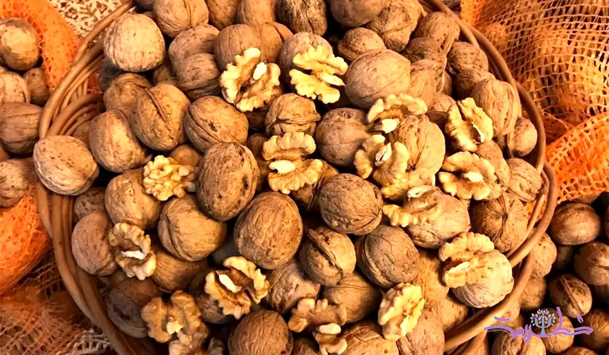 این خوردنی خوشمزه باهوش تان می کند