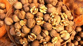 این خوردنی خوشمزه باهوش تان می کند