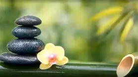 چطور ذهن خود را آرام کنیم؟ / راه کار هایی برای رسیدن به آرامش ذهنی