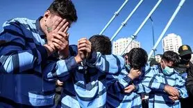 تبعات بازگشت اراذل و اوباش به دنیای جرم / در گفتگو با دکتر مریم سامانی، روانشناس بالینی و استاد دانشگاه