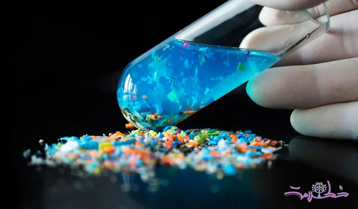 ۸ غذای خطرناک حاوی میکروپلاستیک 