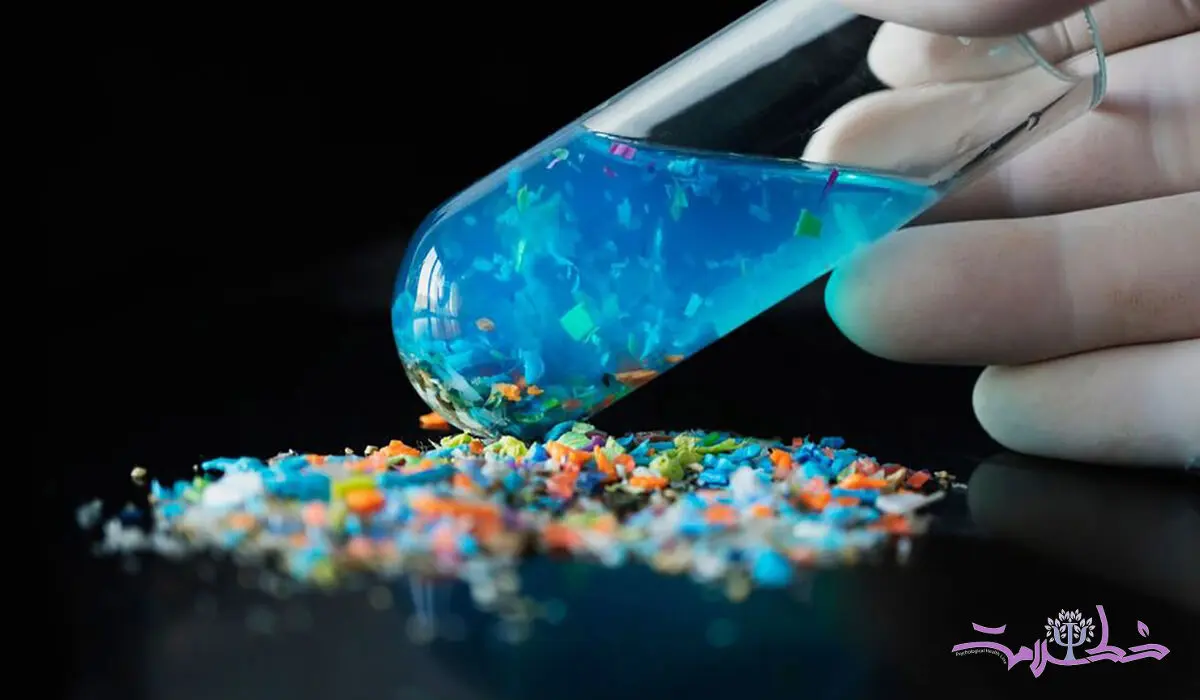 ۸ غذای خطرناک حاوی میکروپلاستیک 