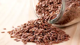 فواید دانه کتان برای از بین بردن چین و چروک + 7 خاصیت دیگر