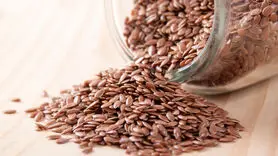 فواید دانه کتان برای از بین بردن چین و چروک + 7 خاصیت دیگر