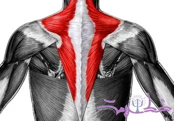 روش های خانگی برای درمان فوری کشیدگی عضلات