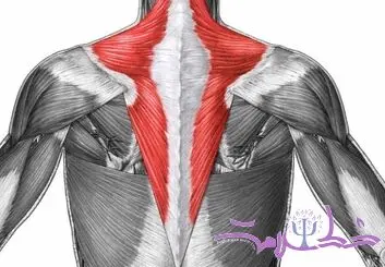 روش های خانگی برای درمان فوری کشیدگی عضلات