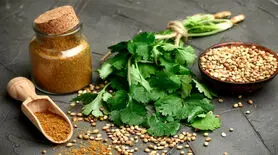 فواید دمنوش گشنیز در طب سنتی